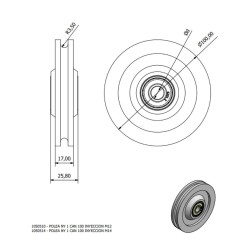 Polea Nylon 1 canal - 100 D12 inyección HG13